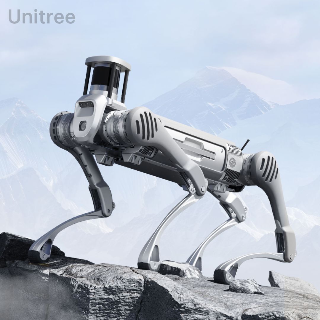 Unitree B2 - Quadruped Robot - iRed Limited